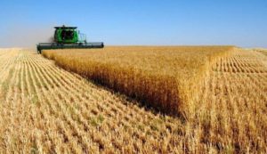 تصدير اكثر من 3 مليارات دولار محاصيل زراعية ايرانية